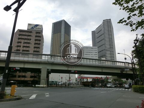 大通り