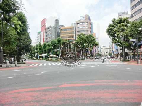 大通り