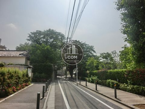 裏路地