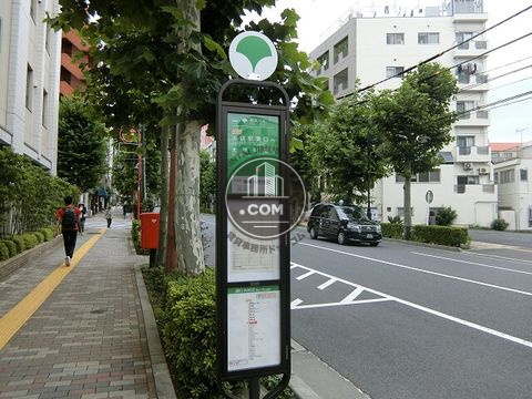 大通り