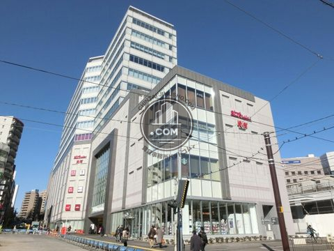 大通り