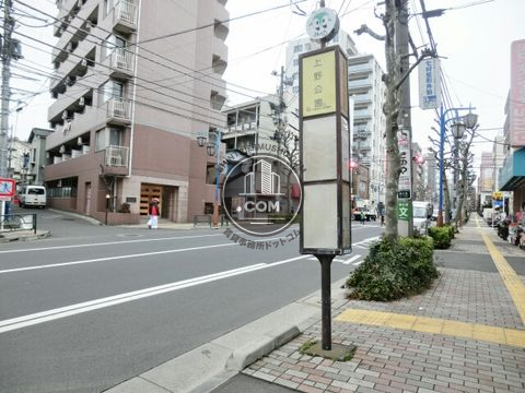 大通り