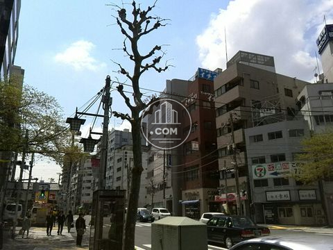 大通り