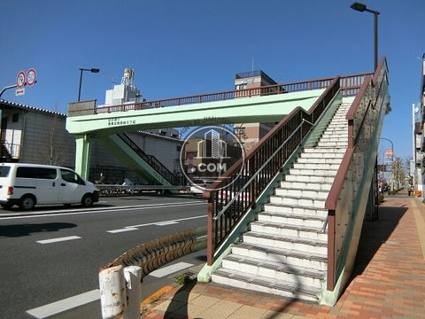 大通り