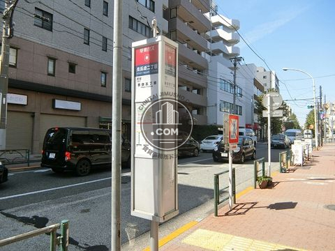 大通り