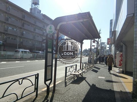 大通り