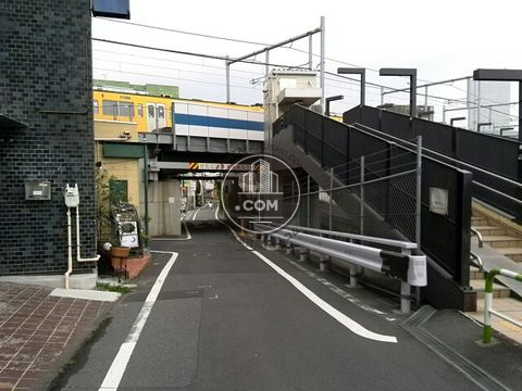 裏路地