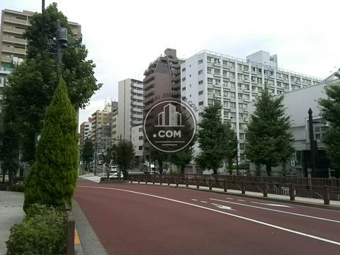 大通り