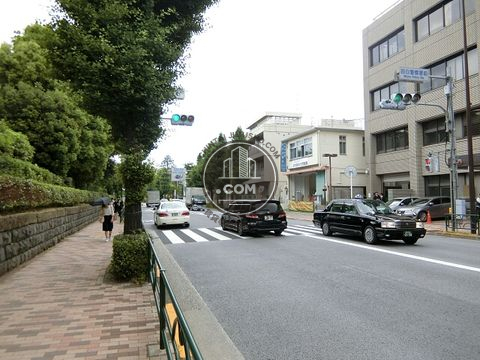 大通り