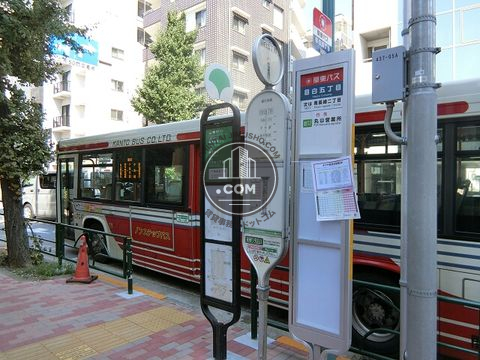 大通り