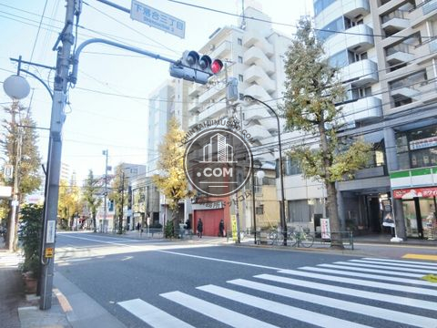 大通り