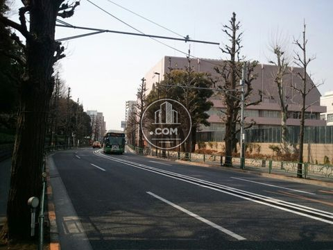 大通り