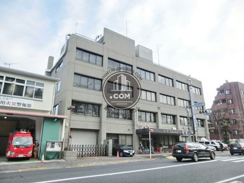 大通り