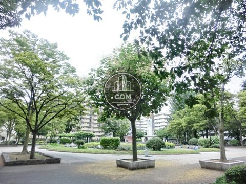大通り