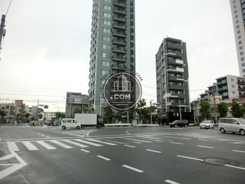 大通り