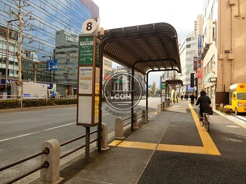 大通り