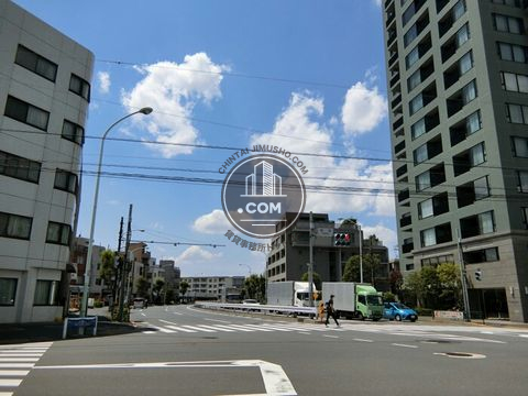 大通り