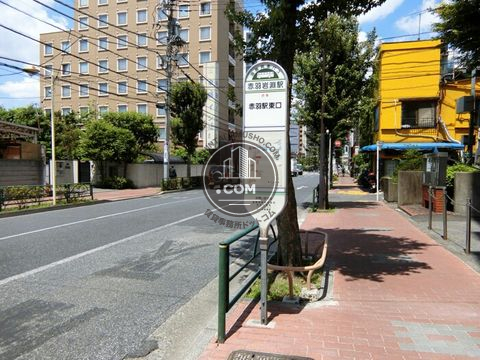 大通り