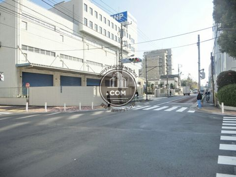大通り