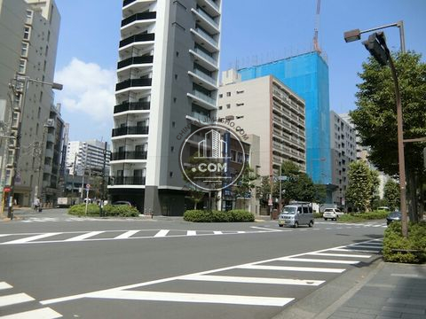 大通り