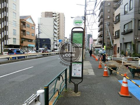 大通り
