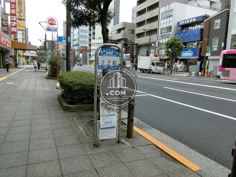 大通り