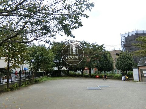 裏路地