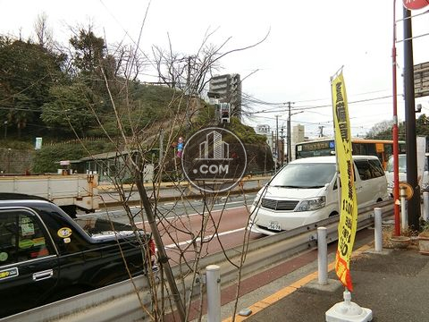 大通り