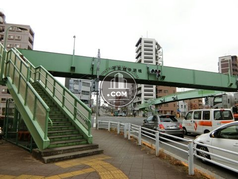 大通り