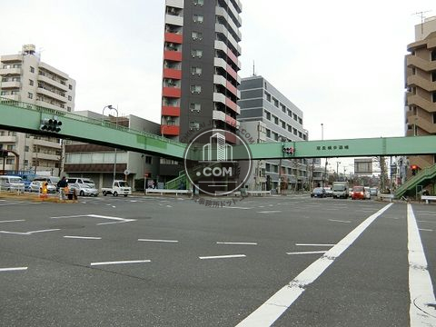 大通り