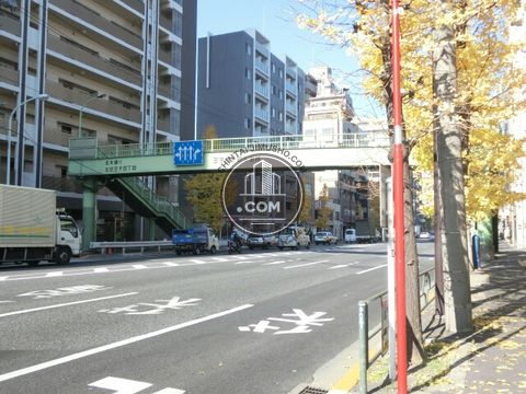大通り