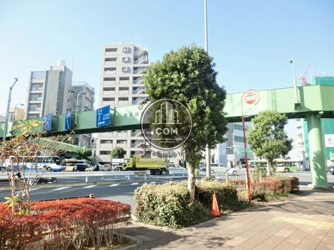 大通り