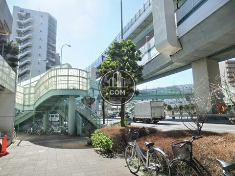 大通り