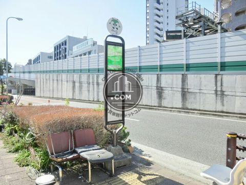大通り