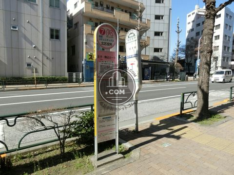大通り
