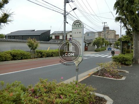 大通り
