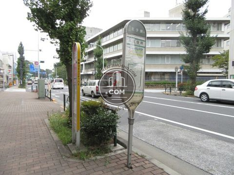 大通り
