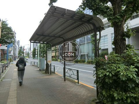 大通り