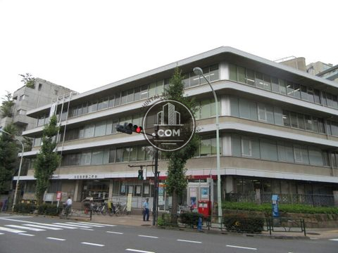 大通り