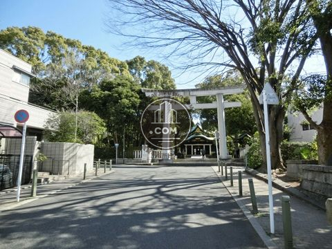 大通り