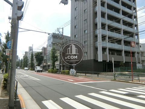 大通り