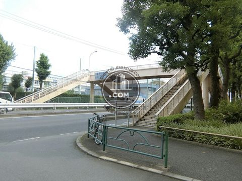 大通り
