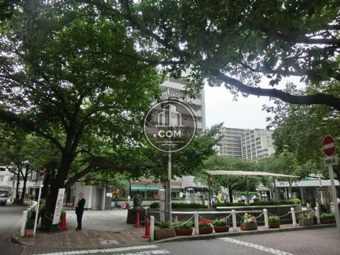 駅周辺