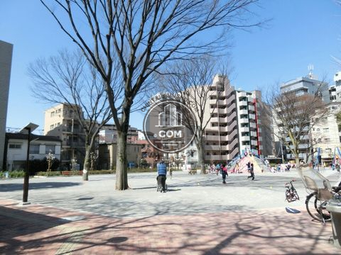 大通り