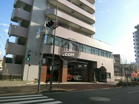 大通り