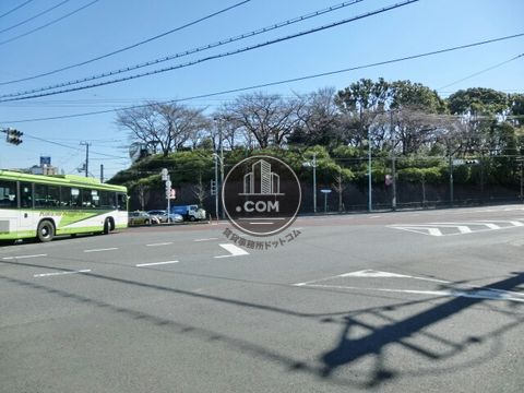 大通り