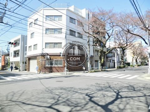大通り