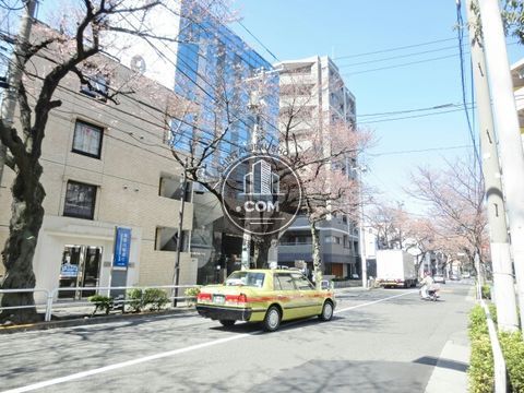 大通り