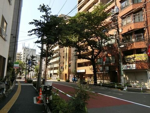 滝野川桜通り