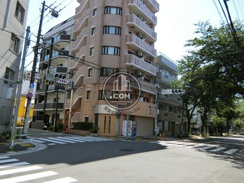 大通り